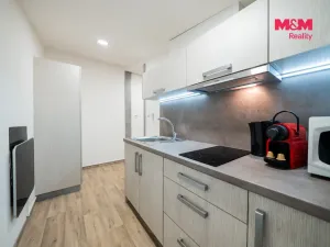 Prodej bytu 1+kk, Ostružná - Ramzová, 30 m2