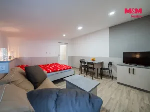 Prodej bytu 1+kk, Ostružná - Ramzová, 30 m2
