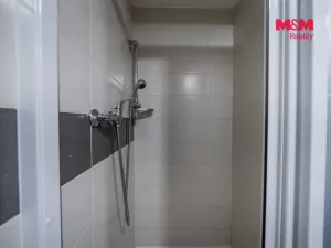 Prodej bytu 1+kk, Ostružná - Ramzová, 30 m2