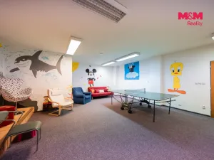 Prodej bytu 1+kk, Ostružná - Ramzová, 30 m2