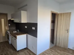 Pronájem bytu 1+1, Ústí nad Labem - Severní Terasa, Kmochova, 47 m2