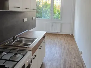 Pronájem bytu 1+1, Ústí nad Labem - Severní Terasa, Kmochova, 47 m2