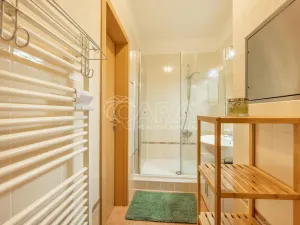 Pronájem bytu 1+kk, Praha - Štěrboholy, Andersenova, 38 m2