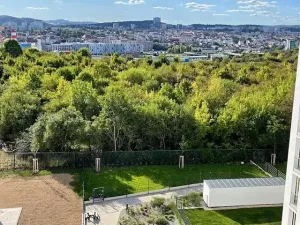 Pronájem bytu 2+kk, Brno, třída Generála Píky, 50 m2