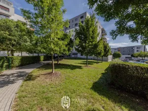 Prodej bytu 5+kk, Olomouc, Horní lán, 131 m2