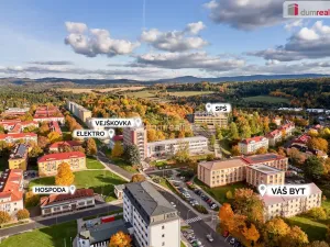 Prodej bytu 2+1, Ostrov, Lidická, 58 m2