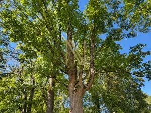 Prodej rodinného domu, Hazlov - Výhledy, 65 m2