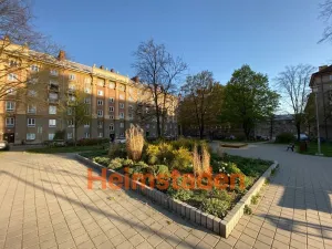Pronájem bytu 2+kk, Ostrava - Poruba, náměstí Boženy Němcové, 68 m2