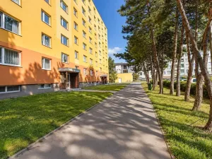Pronájem bytu 3+1, Přerov, Palackého, 68 m2