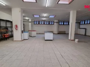 Pronájem obchodního prostoru, Orlová - Lutyně, F. S. Tůmy, 739 m2