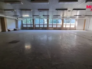 Pronájem obchodního prostoru, Orlová - Lutyně, F. S. Tůmy, 739 m2