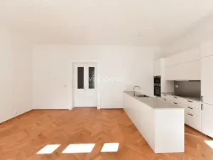 Pronájem bytu 2+kk, Praha - Josefov, Maiselova, 90 m2