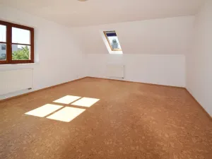 Pronájem rodinného domu, Plzeň - Újezd, Staroveská, 250 m2
