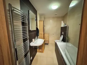 Pronájem bytu 2+kk, Liberec, Horská, 55 m2