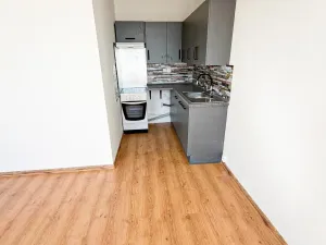 Pronájem bytu 1+kk, Chomutov, Kundratická, 25 m2