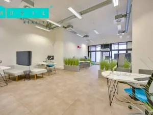 Pronájem obchodního prostoru, Olomouc, Horní náměstí, 300 m2