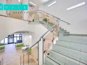 Pronájem obchodního prostoru, Olomouc, Horní náměstí, 300 m2
