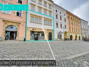 Pronájem obchodního prostoru, Olomouc, Horní náměstí, 300 m2