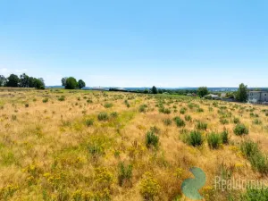 Prodej pozemku pro bydlení, Litvínovice, 1004 m2