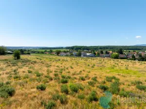 Prodej pozemku pro bydlení, Litvínovice, 1004 m2
