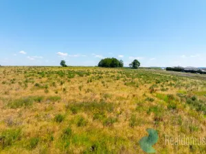 Prodej pozemku pro bydlení, Litvínovice - Šindlovy Dvory, 1002 m2