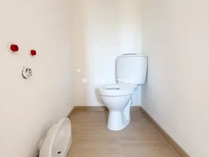 Prodej - jiné, Kamýk nad Vltavou, 100 m2