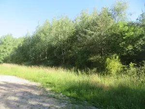 Dražba pozemku, Nové Strašecí, 860 m2