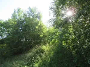 Dražba pozemku, Nové Strašecí, 860 m2