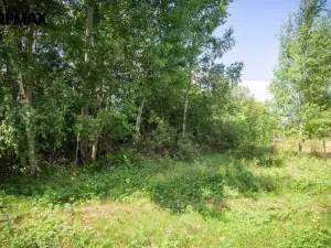 Prodej pozemku pro bydlení, Rožmitál pod Třemšínem, 1753 m2
