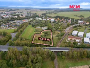 Prodej louky, Toužim, 11139 m2