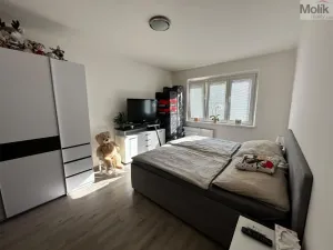 Pronájem bytu 2+1, Most, Zdeňka Fibicha, 56 m2
