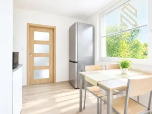 Prodej bytu 2+1, Ústí nad Labem - Střekov, Tolstého, 62 m2