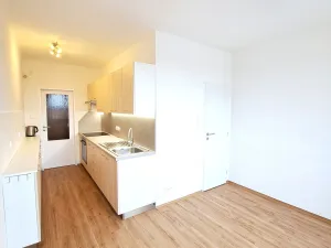Pronájem bytu 1+1, České Budějovice, Kubatova, 50 m2