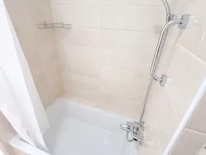 Pronájem bytu 1+1, České Budějovice, Kubatova, 50 m2