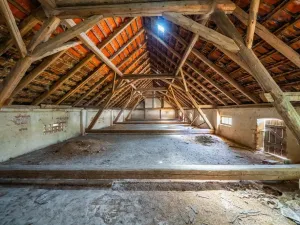 Prodej zemědělské usedlosti, Hostouň - Slatina, 700 m2