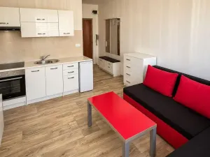 Prodej bytu 1+1, Chomutov, 17. listopadu, 35 m2