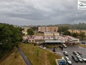 Prodej bytu 1+kk, Cheb, Přátelství, 22 m2