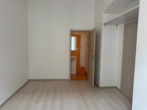 Pronájem bytu 2+kk, Plzeň - Jižní Předměstí, V Šipce, 45 m2