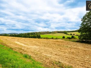 Prodej pozemku pro bydlení, Klatovy - Kydliny, 4431 m2