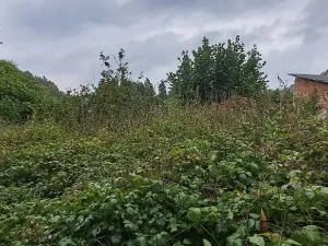 Prodej pozemku pro bydlení, Rabí, 1395 m2