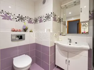 Prodej bytu 1+1, Častolovice, U Konopáče, 43 m2