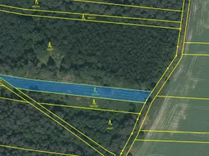 Prodej lesa, Slabčice - Nemějice, 1272 m2