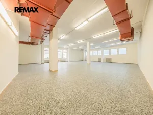 Pronájem obchodního prostoru, Štětí, Obchodní, 1366 m2