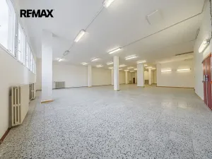 Pronájem obchodního prostoru, Štětí, Obchodní, 1366 m2