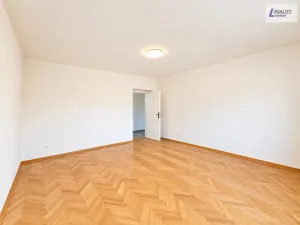 Prodej rodinného domu, Nečín, 500 m2
