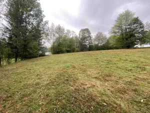 Prodej pozemku, Benešov nad Černou - Kuří, 3849 m2