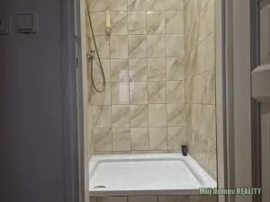 Pronájem bytu 1+kk, Praha - Karlín, Křižíkova, 44 m2