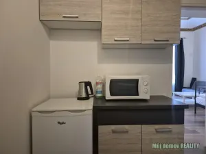 Pronájem bytu 1+kk, Praha - Karlín, Křižíkova, 44 m2