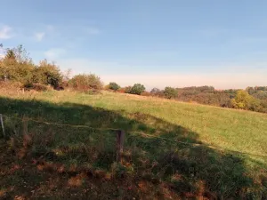 Prodej louky, Kouřim, 87548 m2