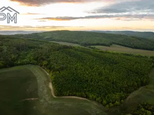 Prodej chalupy, Kyjov - Bohuslavice, 65 m2